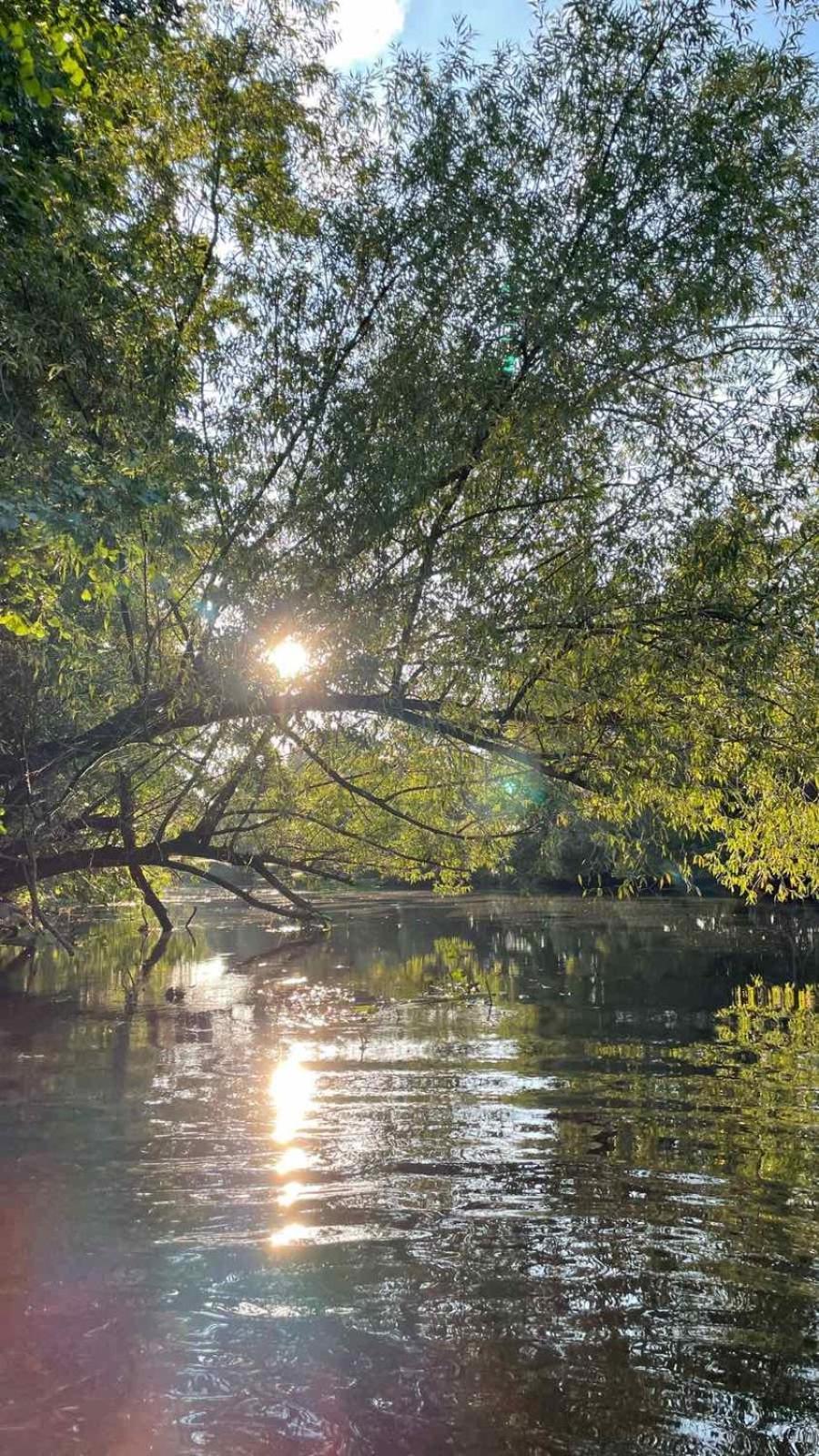 Guesthouse With 3 Apartments, Just Outside Berlin, Near To Tesla Burig Exteriör bild