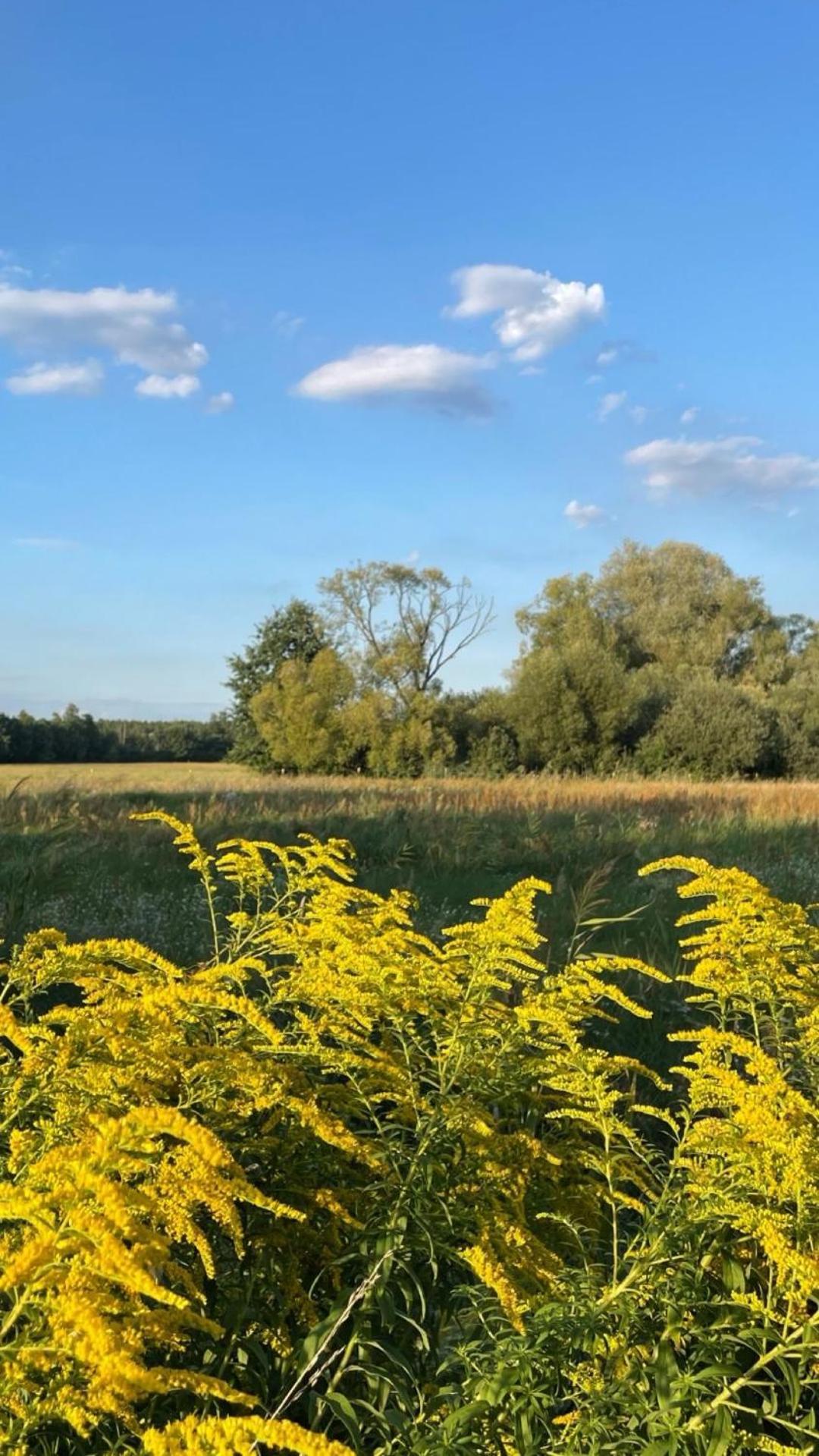 Guesthouse With 3 Apartments, Just Outside Berlin, Near To Tesla Burig Exteriör bild
