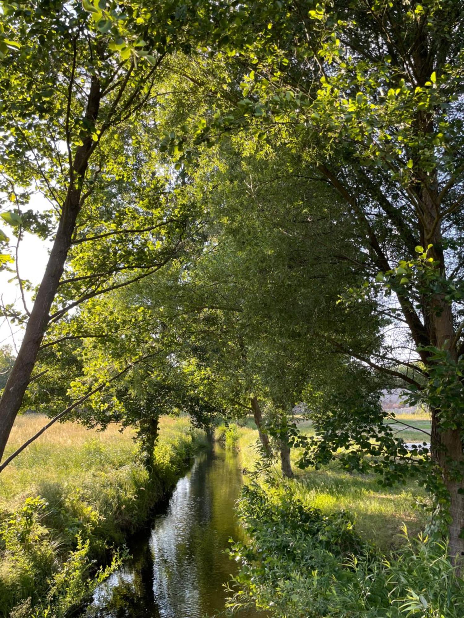 Guesthouse With 3 Apartments, Just Outside Berlin, Near To Tesla Burig Exteriör bild