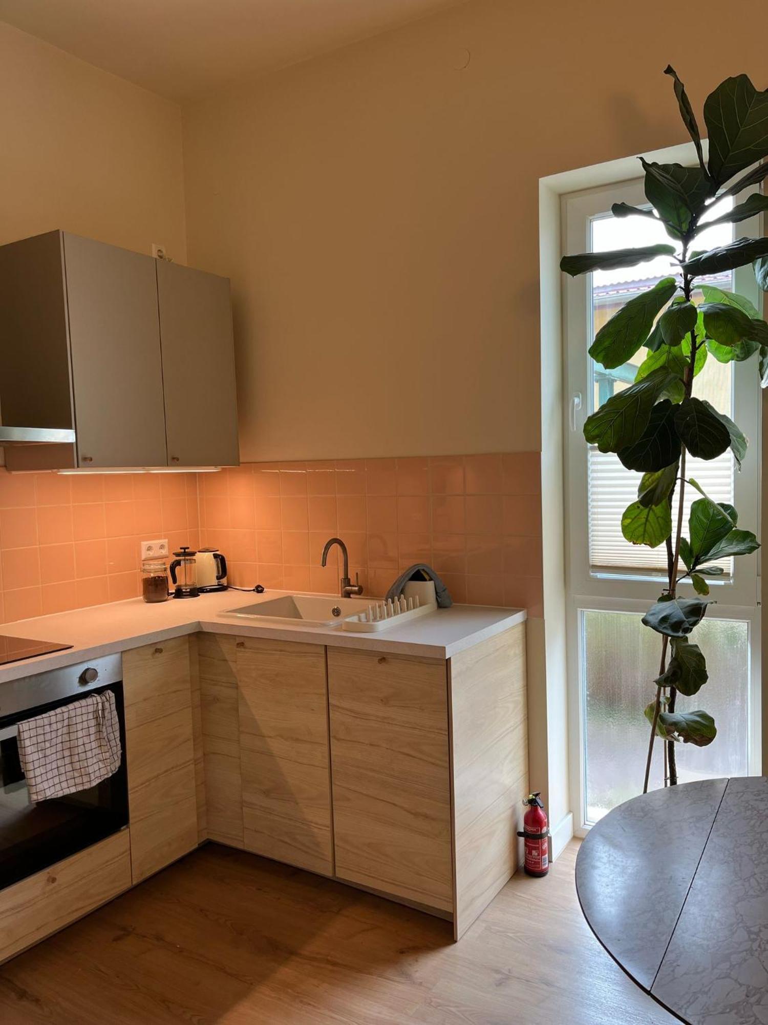 Guesthouse With 3 Apartments, Just Outside Berlin, Near To Tesla Burig Exteriör bild